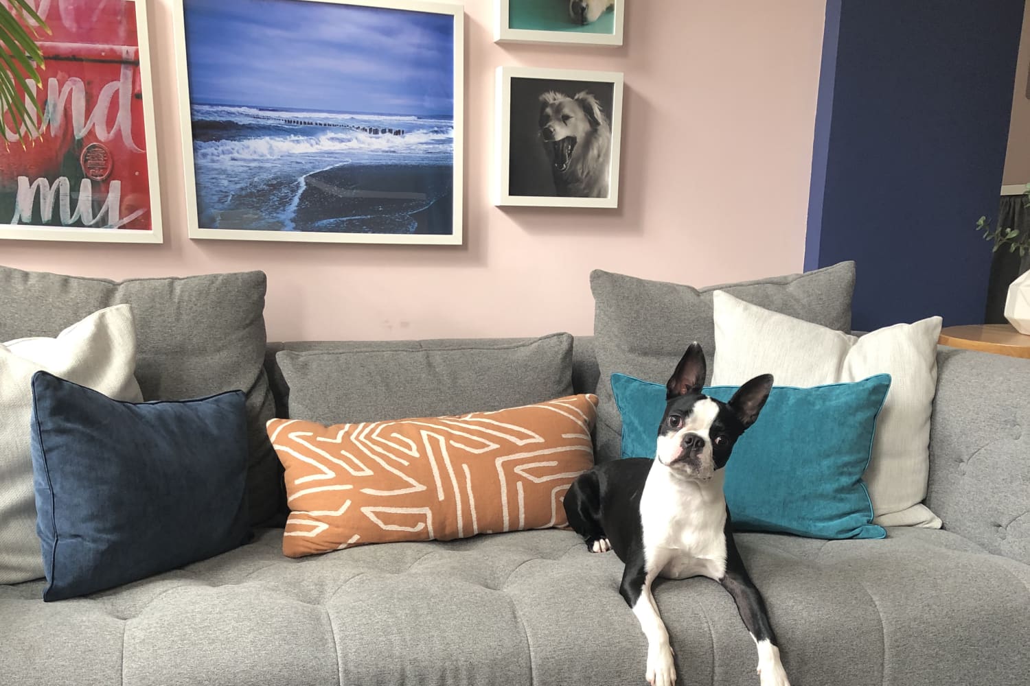 This Is the Most Essential Factor for Selecting a Durable Sofa