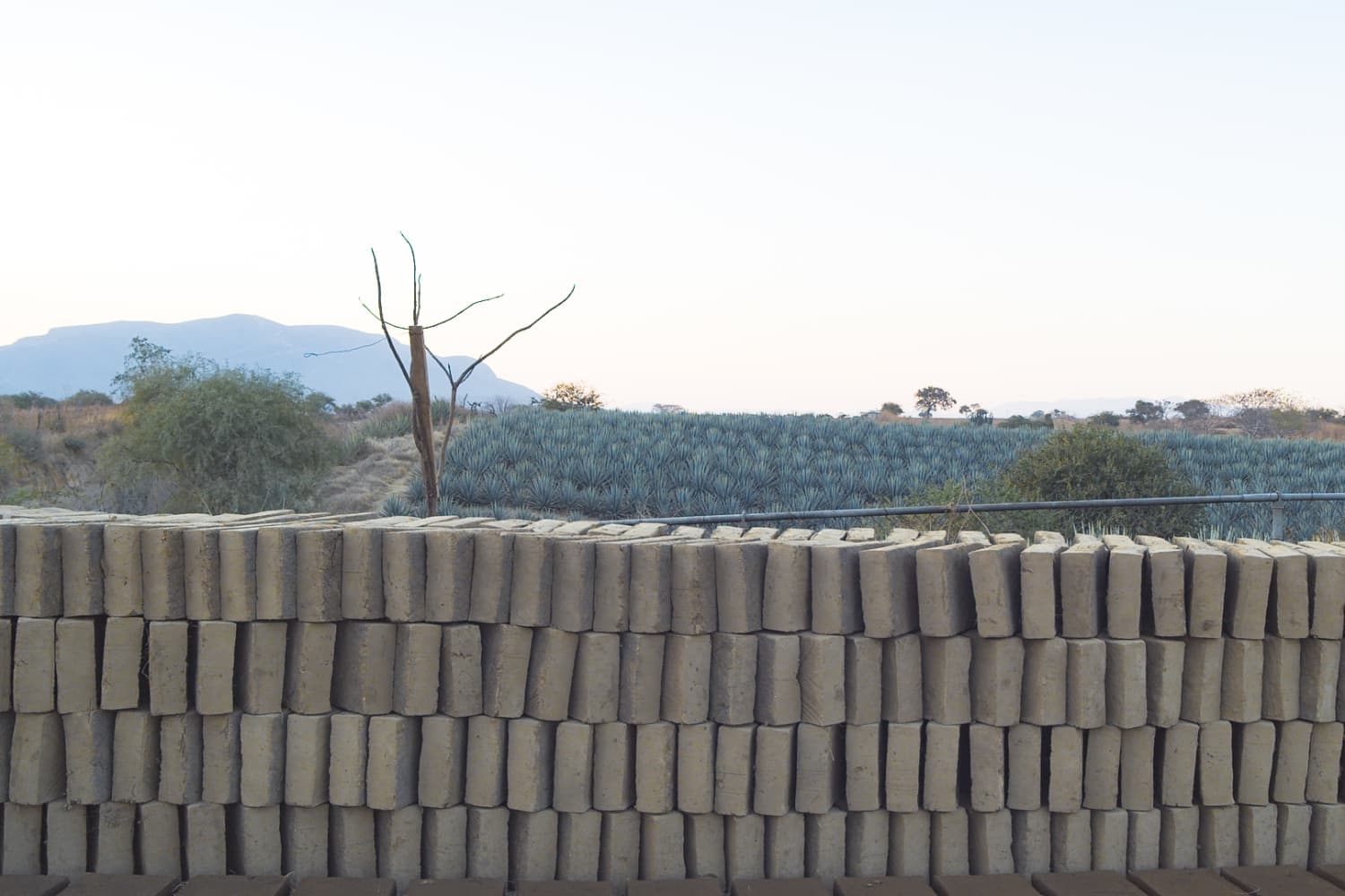Kendall jenner s 818 tequila bricks program is helping to build up