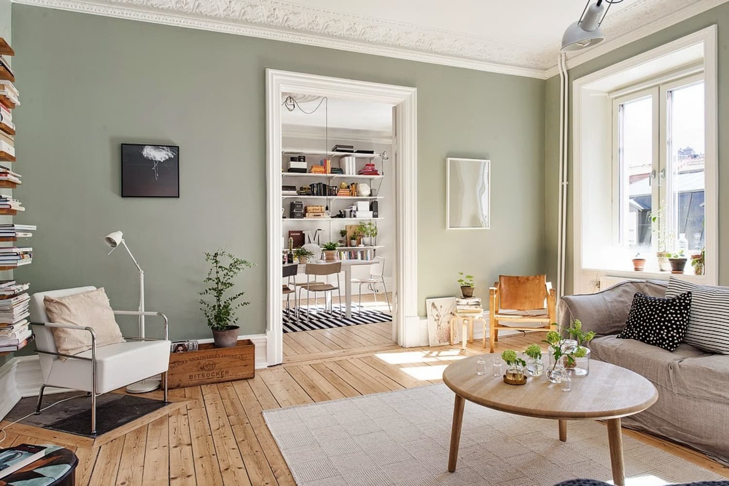 Modern sage green living shop room