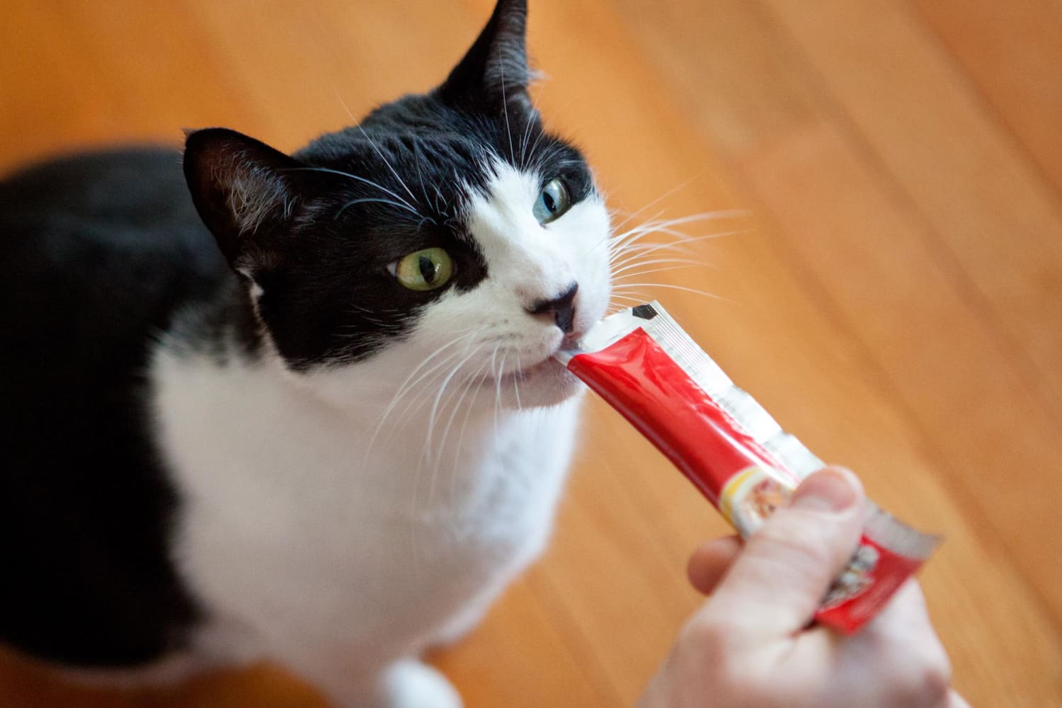 Hartz Cat Treats GoGurt Style Squeeze Up Tubes Video The Kitchn