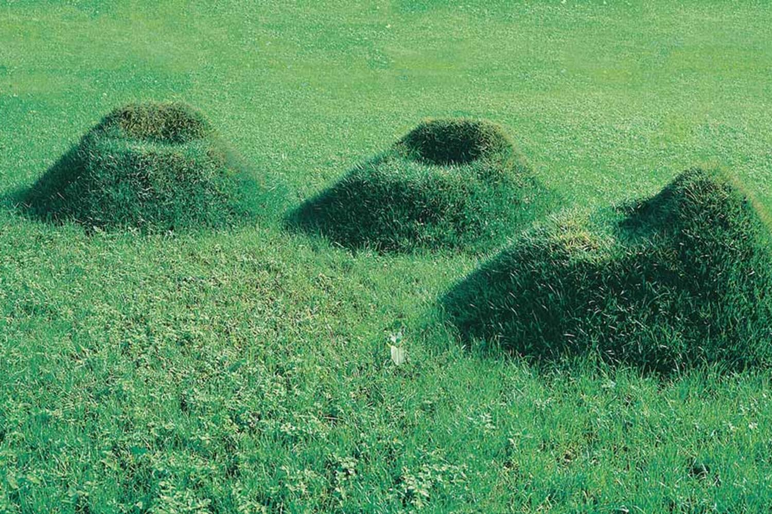Chairs on hotsell grass