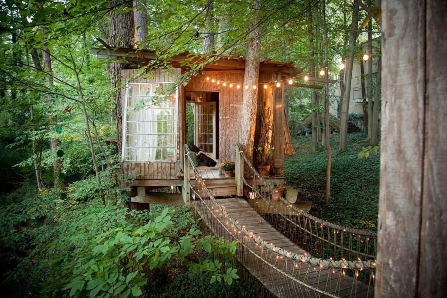 The Most Stylish Airbnb Treehouses Treehouse Rentals Apartment Therapy