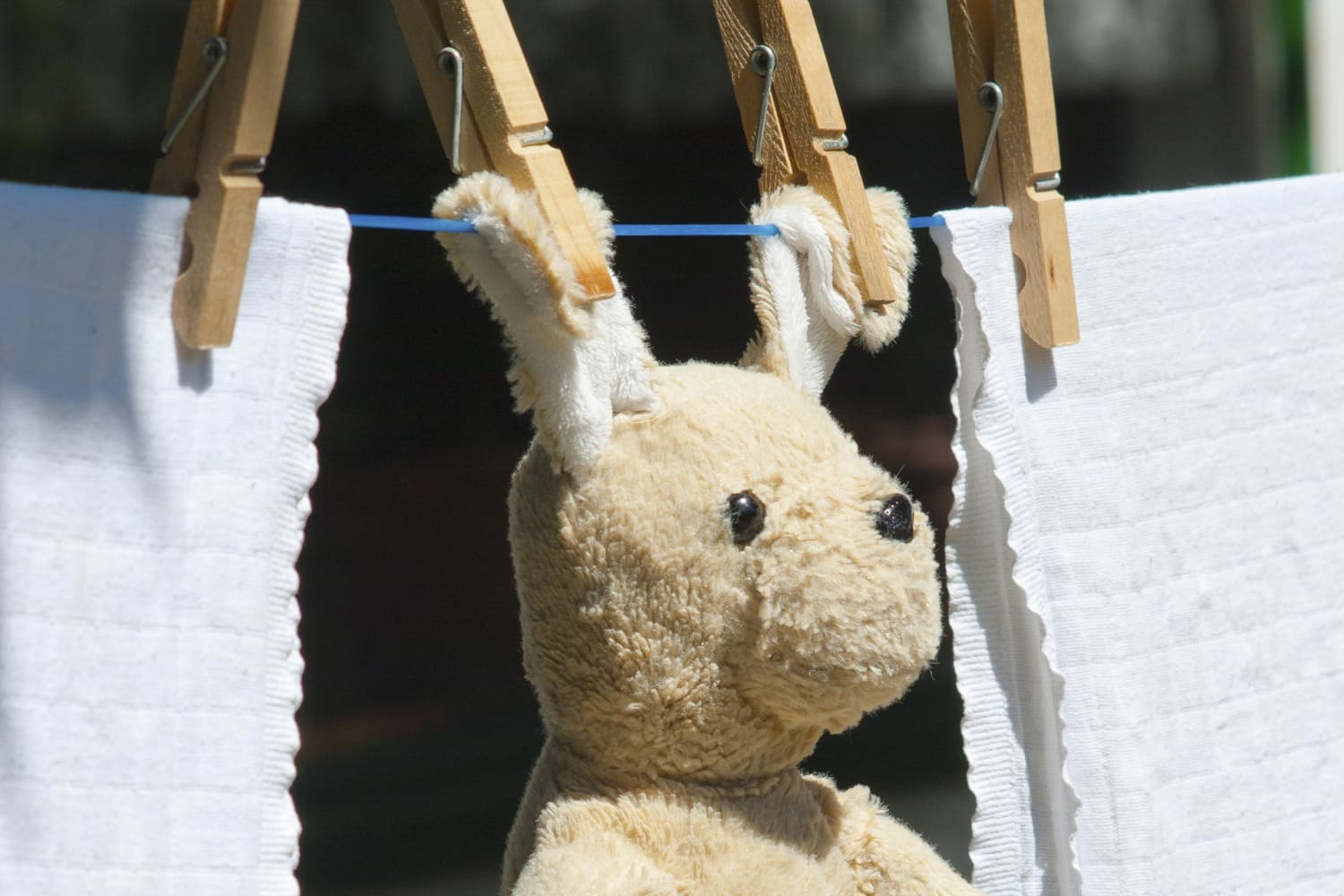 How To Clean Stuffed Animals Apartment Therapy