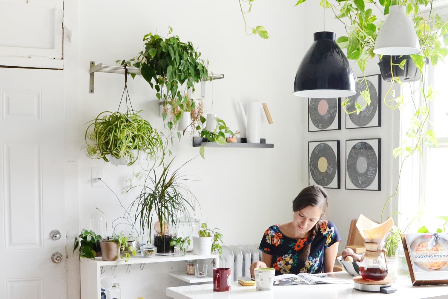 Kitchen sink clearance plant shelf