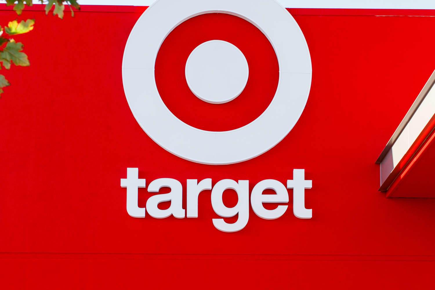 Target Is Selling Adorable 3 Glass Cactus Vases Apartment Therapy