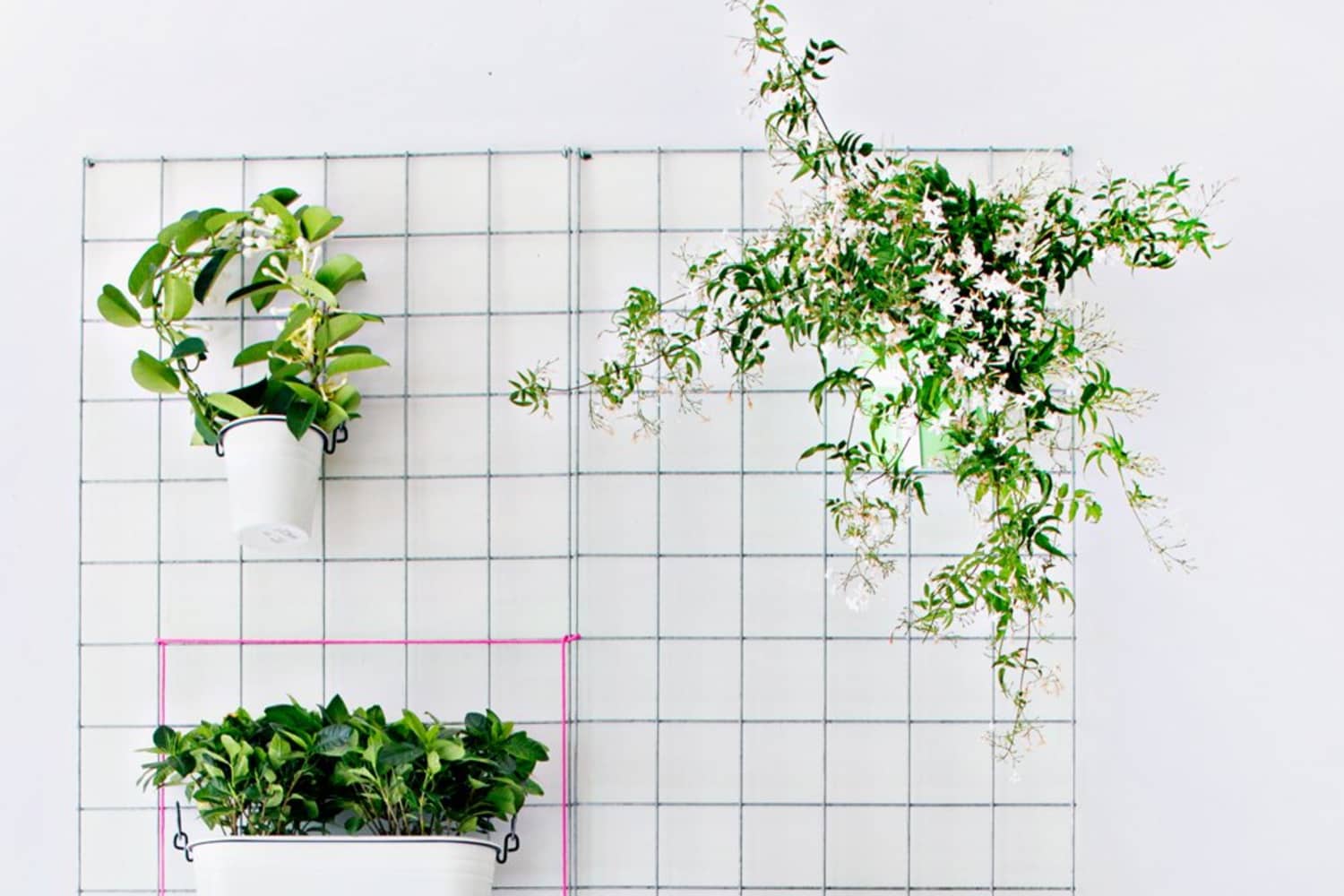 6 Ways to Create a Plant Wall In a Rental Apartment Therapy