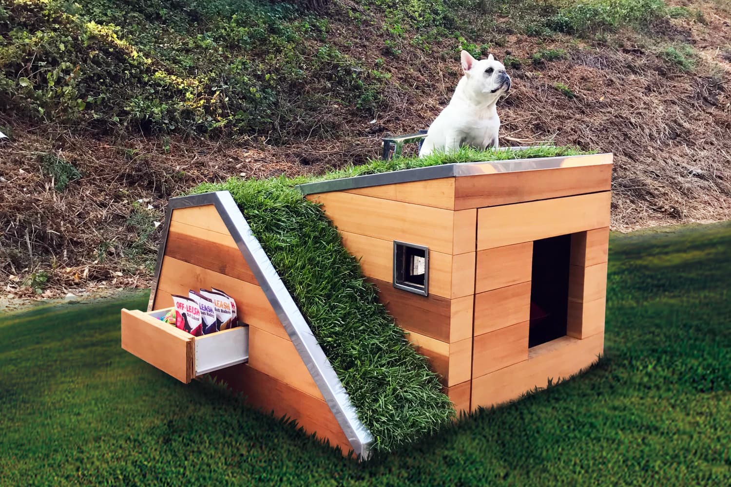 Affordable dog house top
