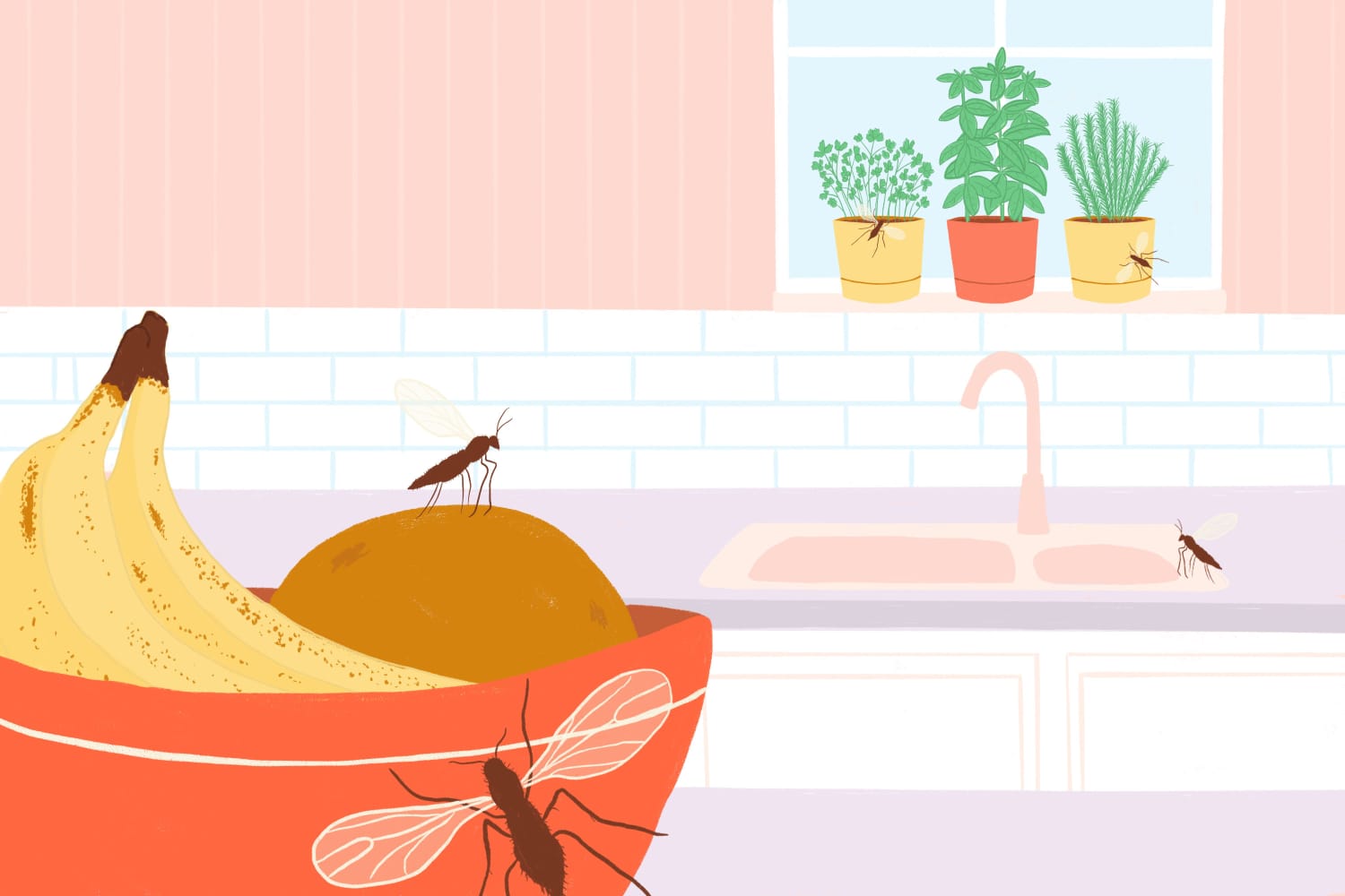 How to Get Rid of Gnats in the House (Easy Tricks That Actually Work)