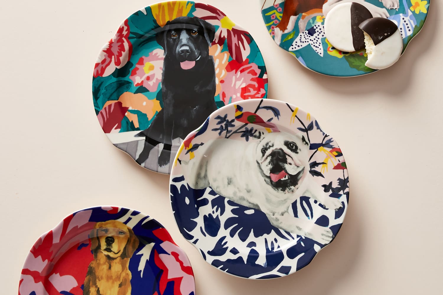 Anthropologie x Bone Appetit Dog Portrait Art Plates Mugs Apartment Therapy