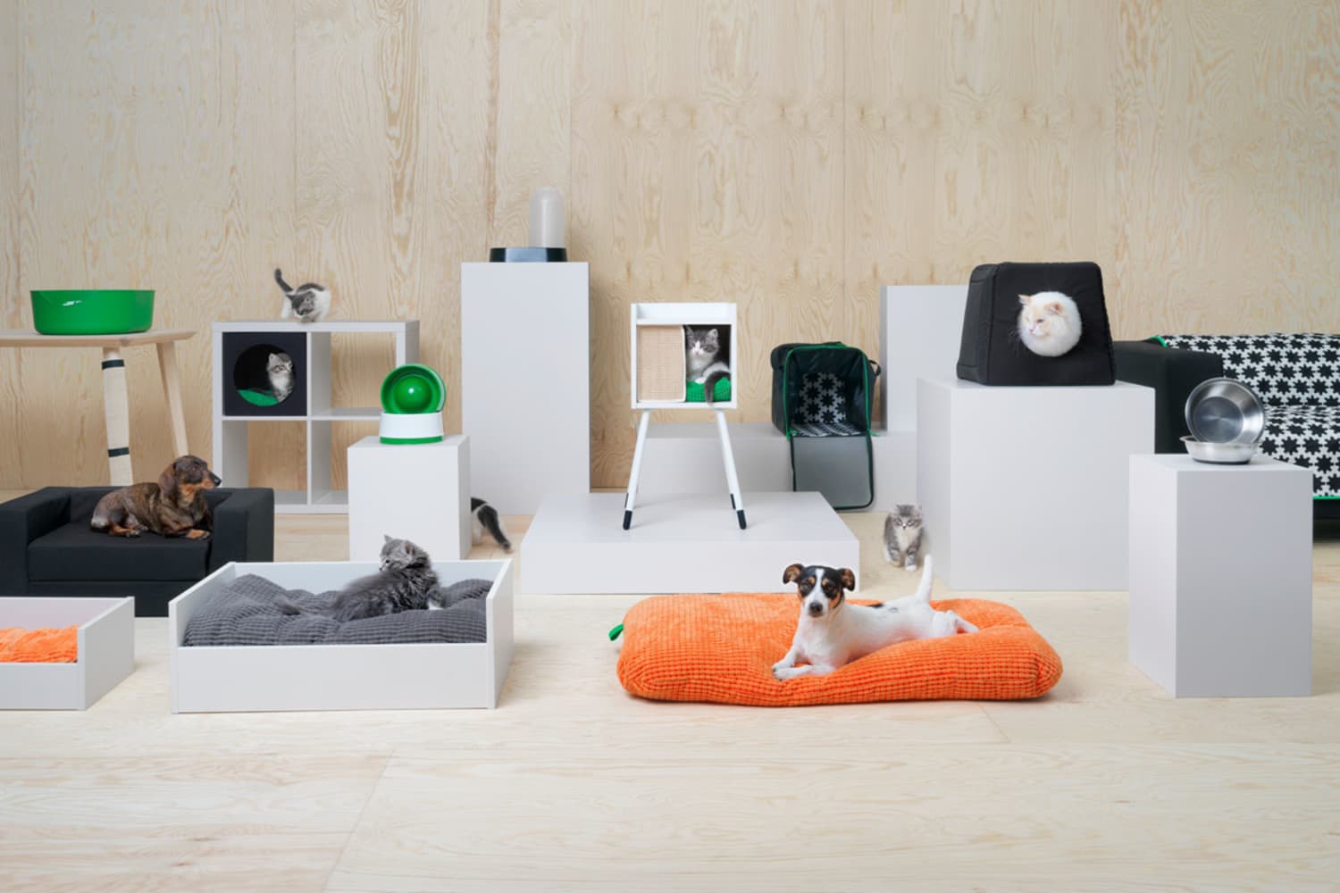 Ikea dogs shop in store