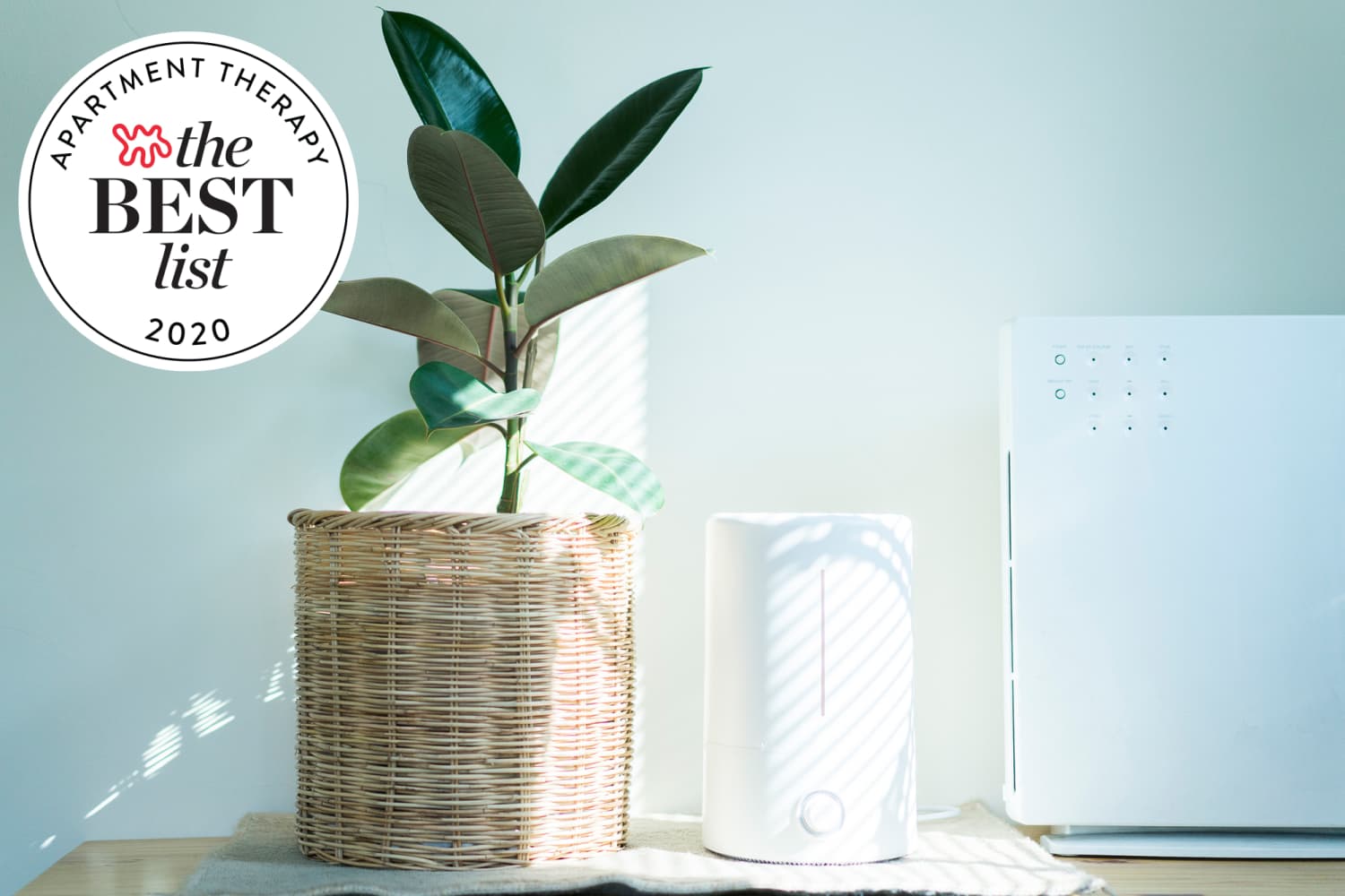 Best Air Purifiers 2021 Top Rated Purifiers for Allergies, Dust, Pets, Smoke Apartment Therapy