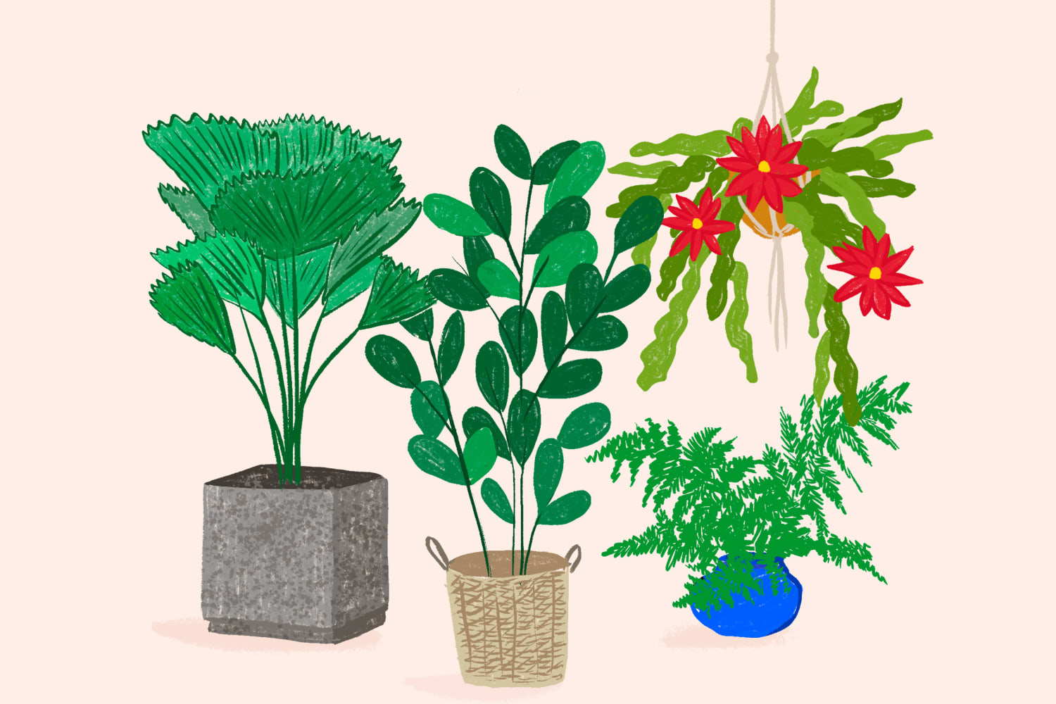 Quiz Which Plant Should You Add to Your Home Collection Next