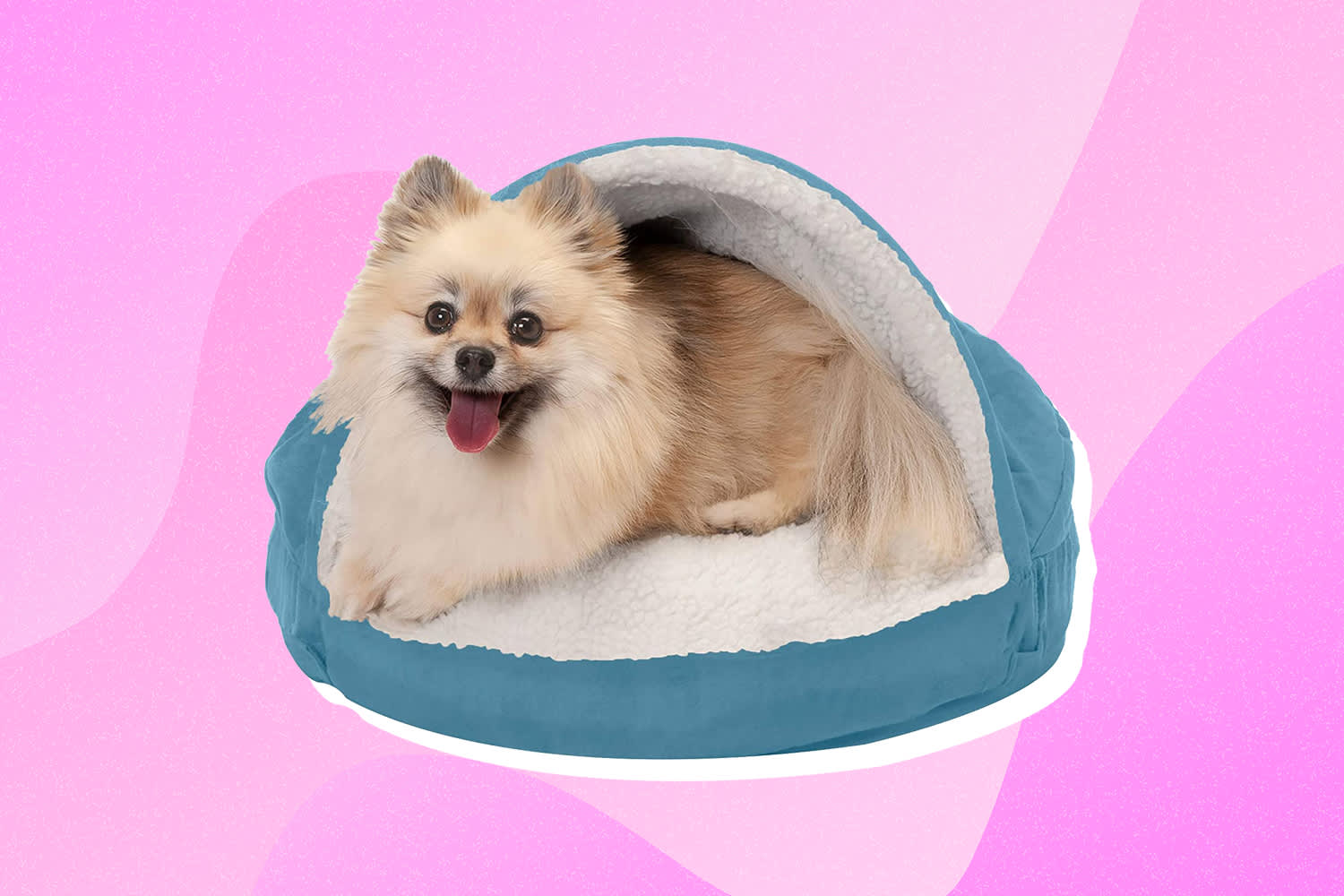 Best Amazon Dog Bed Fairhaven Snuggery Orthopedic Bed Apartment Therapy