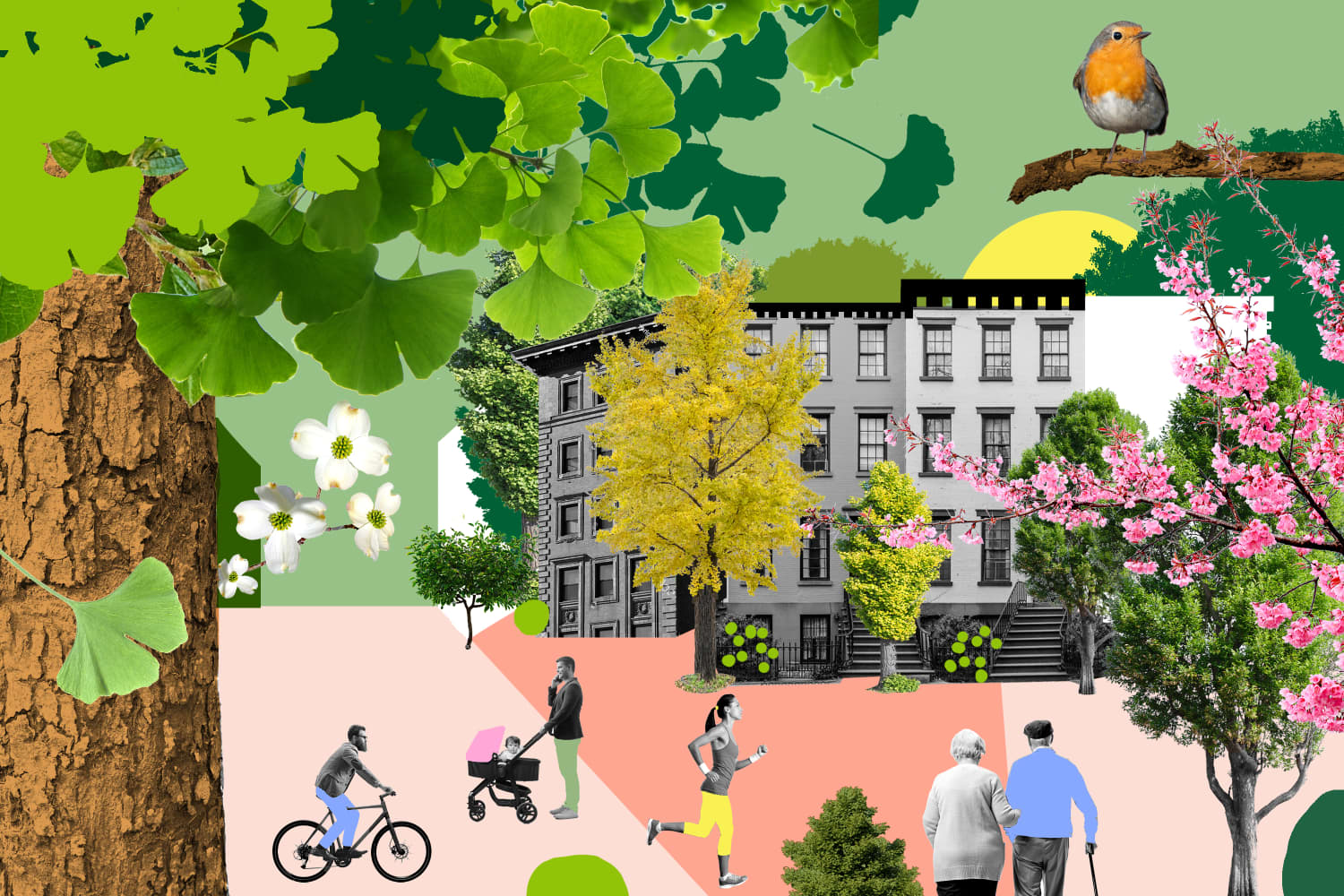 Why Trees Are a Critical Asset to Urban Housing | Apartment Therapy