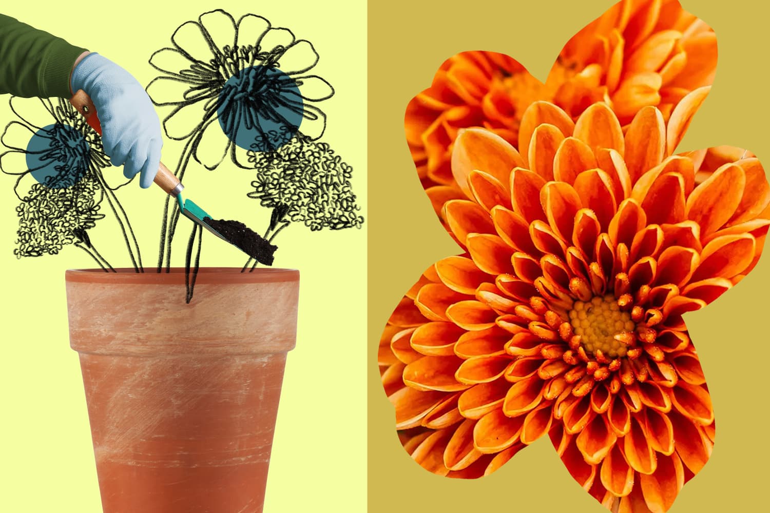 14-fall-flowers-to-plant-in-pots-mum-marigolds-more-apartment