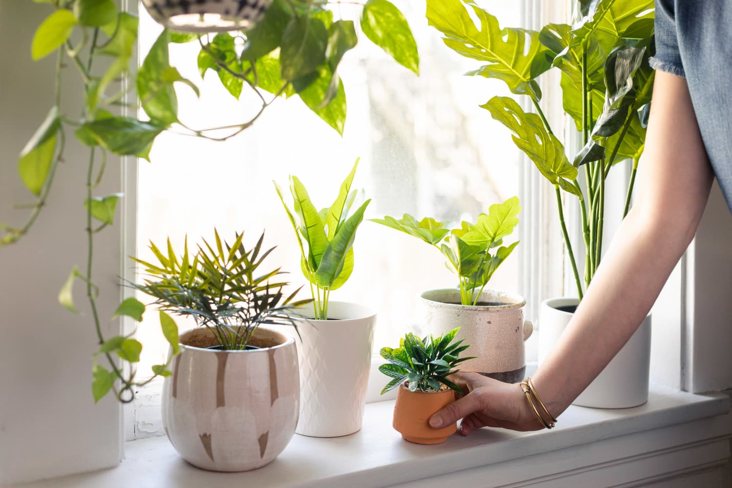 Indoor window sill shop planter