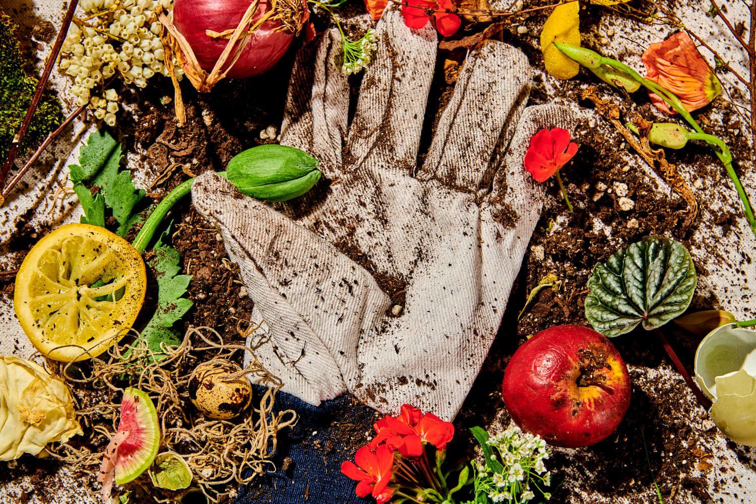 Composting Guide for Beginners Apartment Therapy