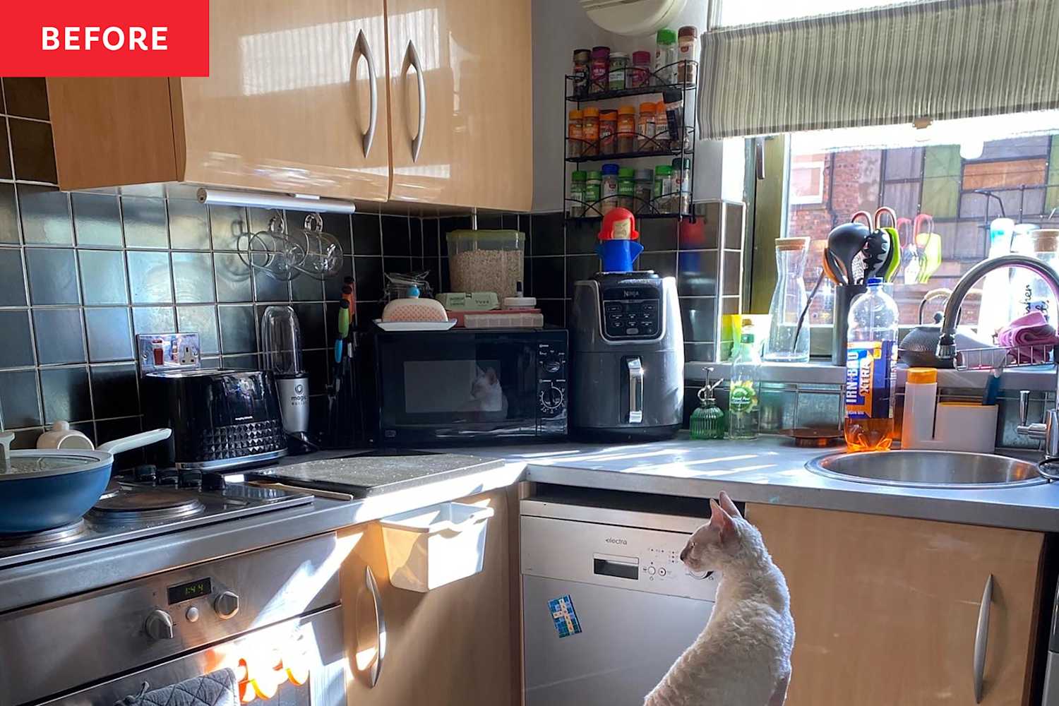 Vinyl Wrap Transforms 1980s Cabinets in This “Ugly” Kitchen | Apartment ...