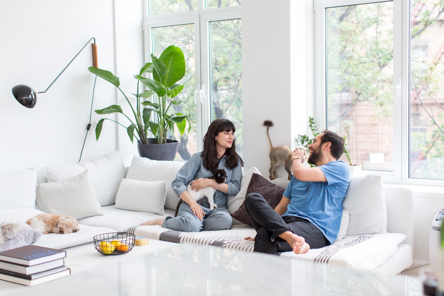 This Is the Ideal Daily Routine for Dogs