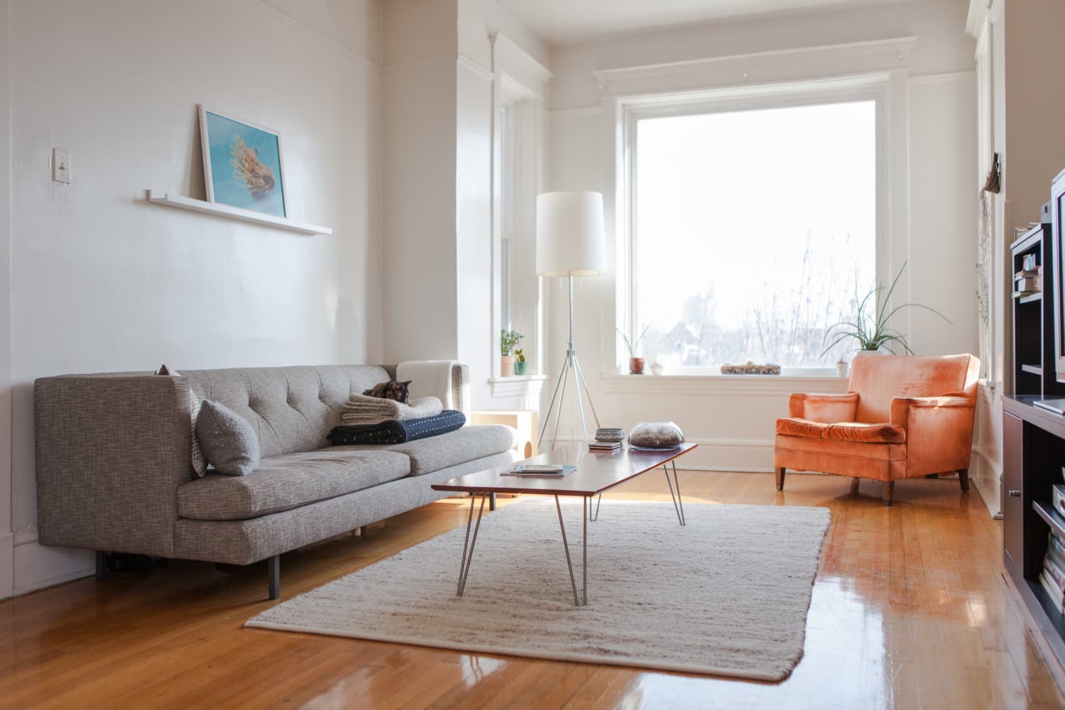 Here's Why You Should Consider Decorating With a Solid Colored Rug ...