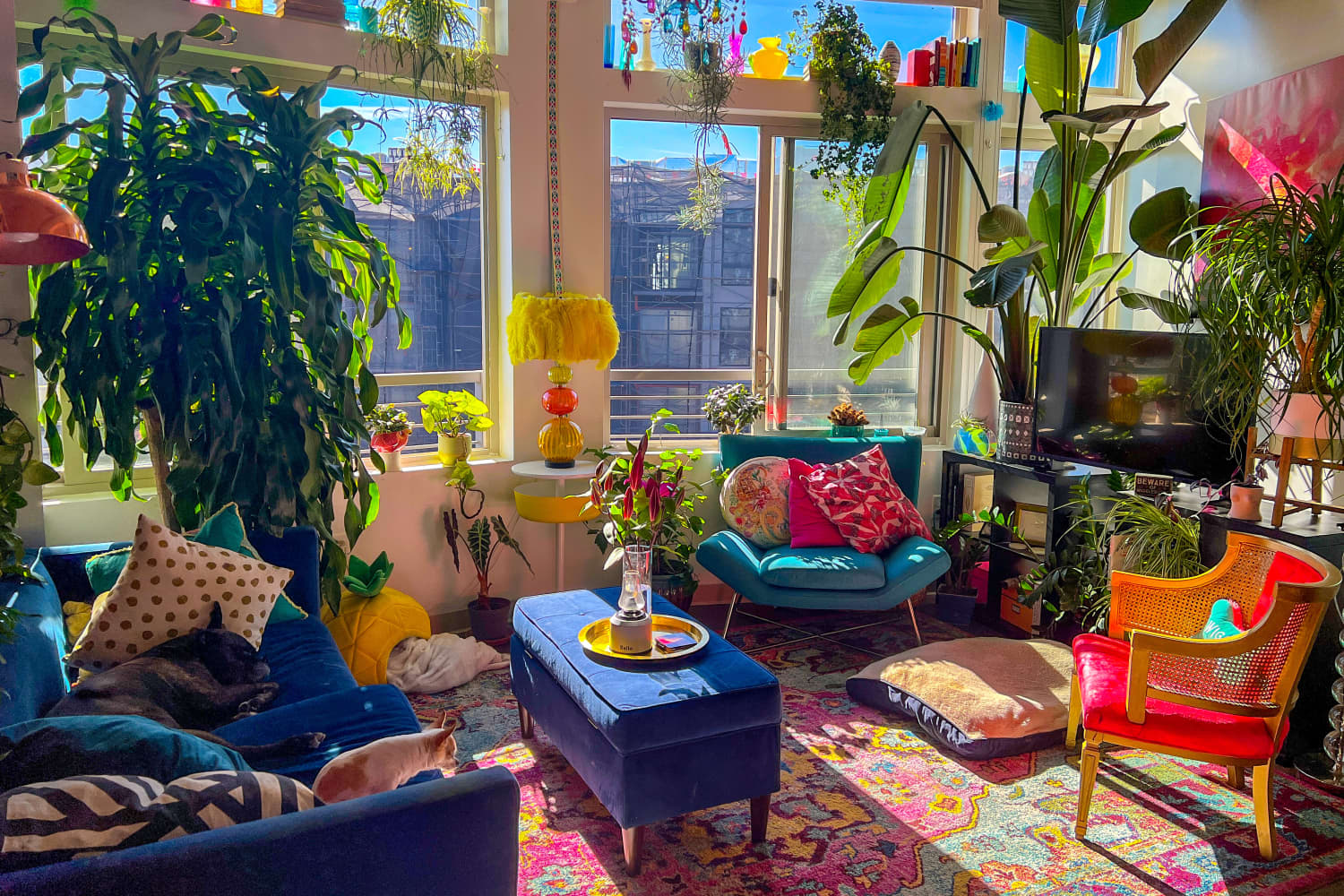 Small, Colorful, DIY-Filled Denver Apartment Photos | Apartment Therapy