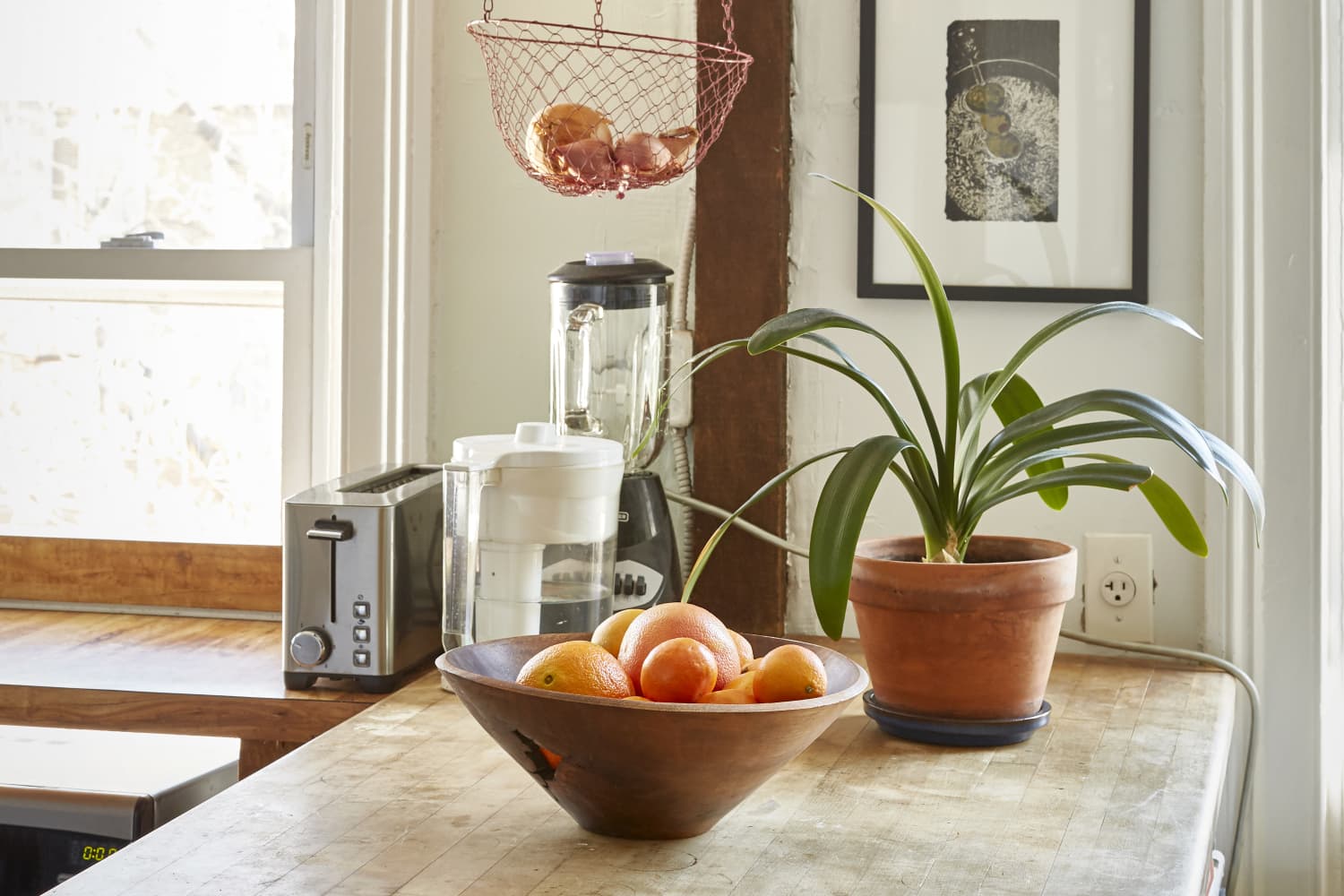 The Oft-Forgotten Part of Your Kitchen That Could Be Attracting Fruit Flies