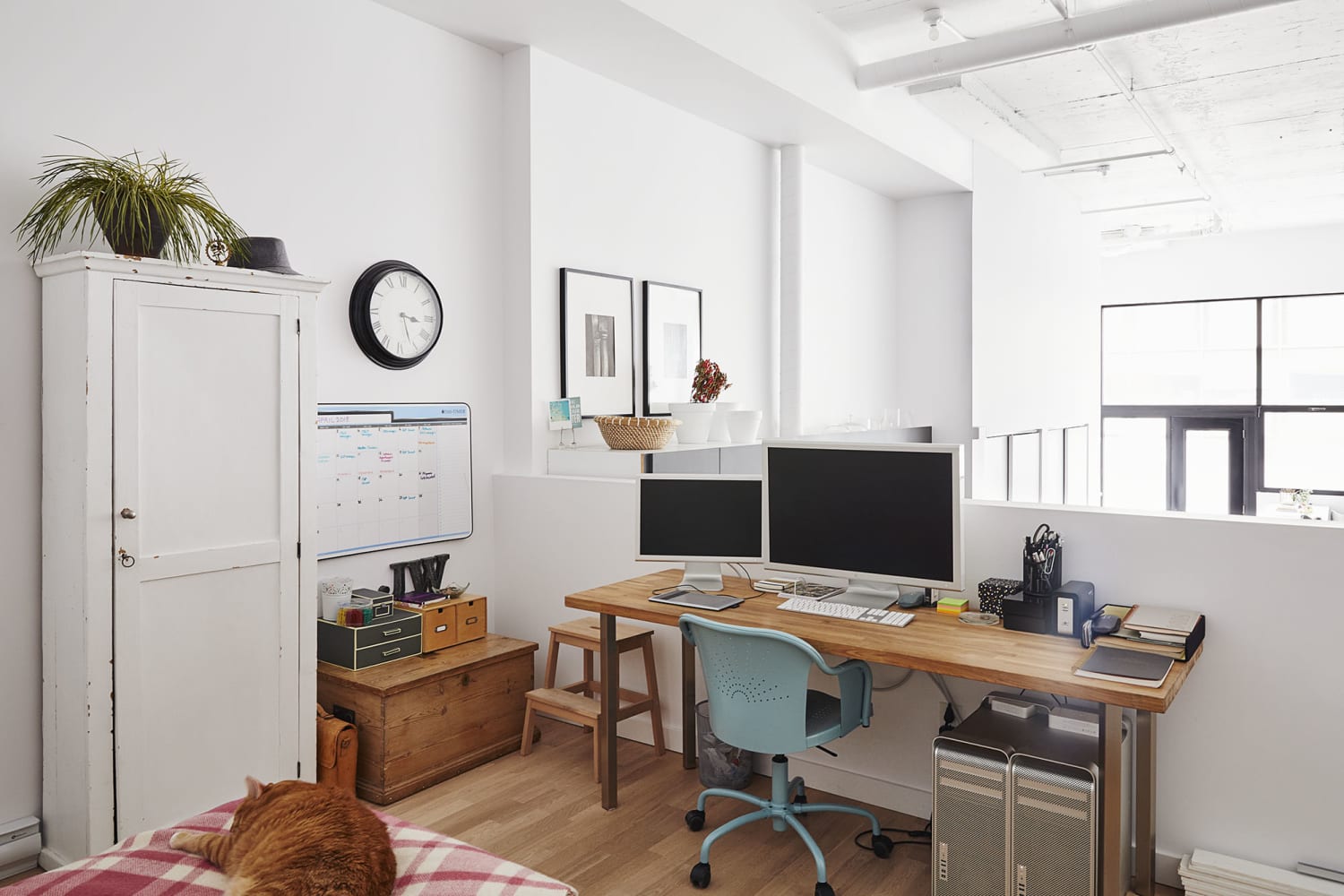 8 Eco-Friendly Home Office Ideas - captainbobcat.com - Eco Friendly Apartment Decor For Home Offices