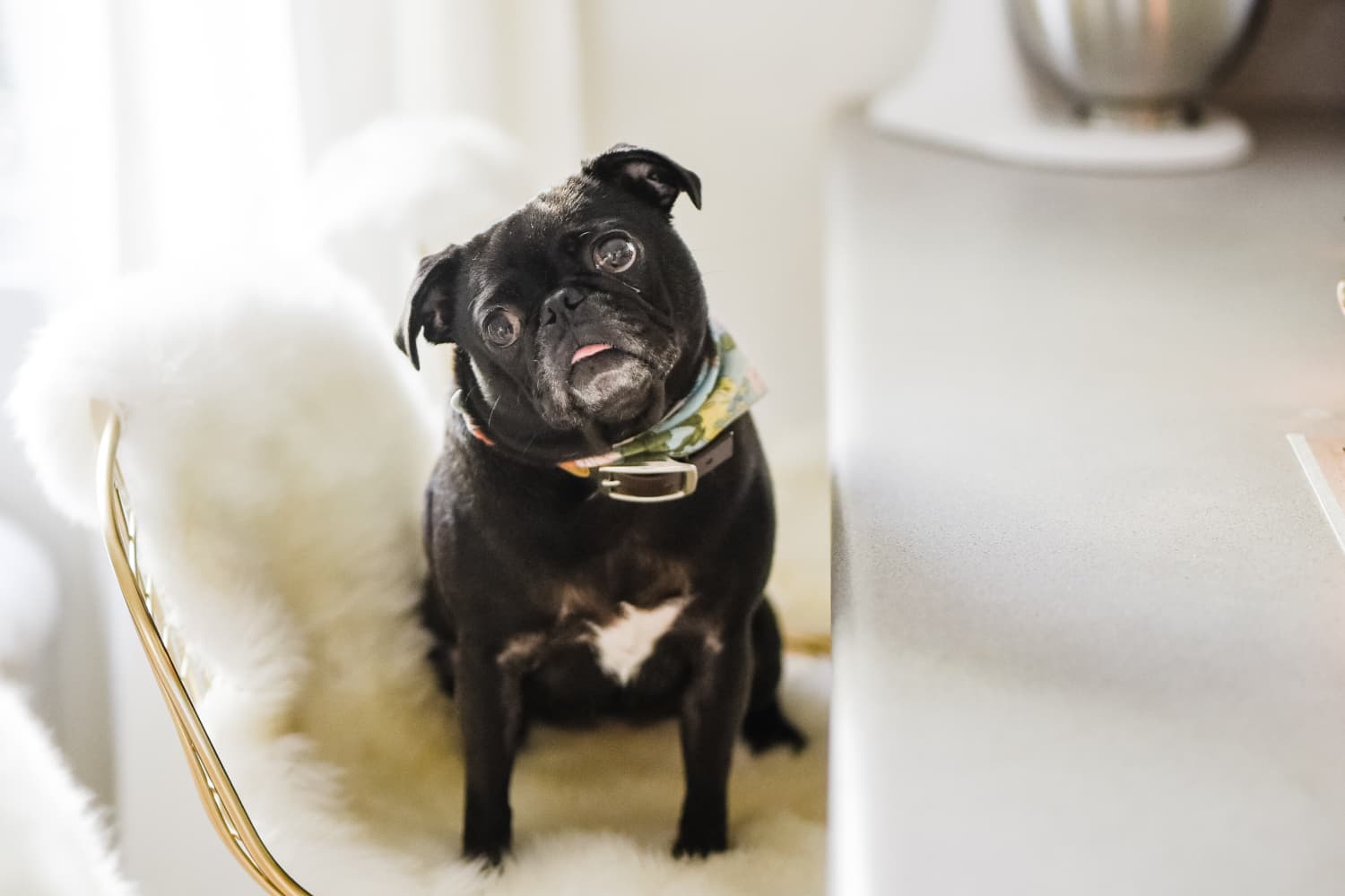 8 Creative Ikea Sheepskin Rug Ideas Apartment Therapy