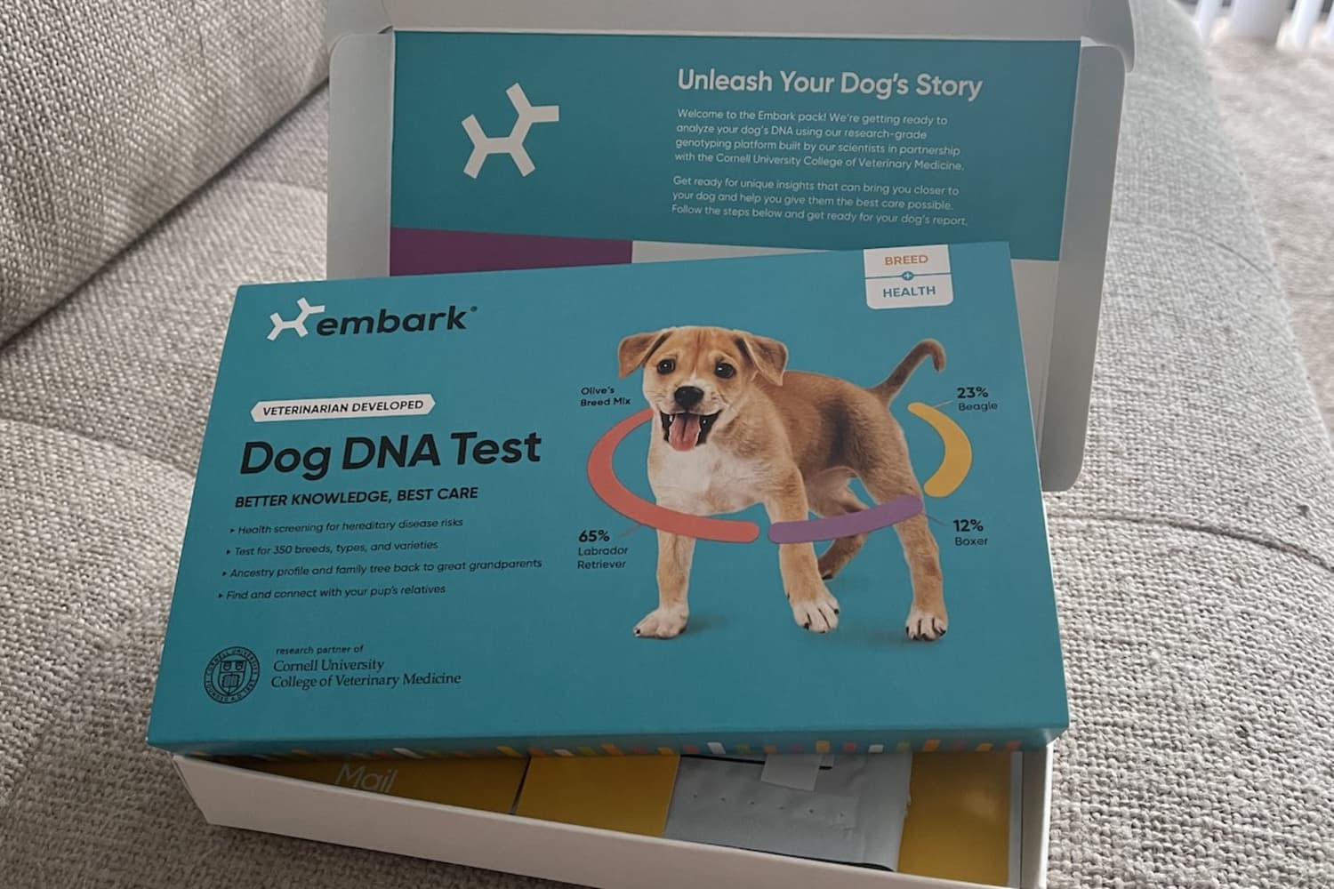 Embark clearance dog genetics