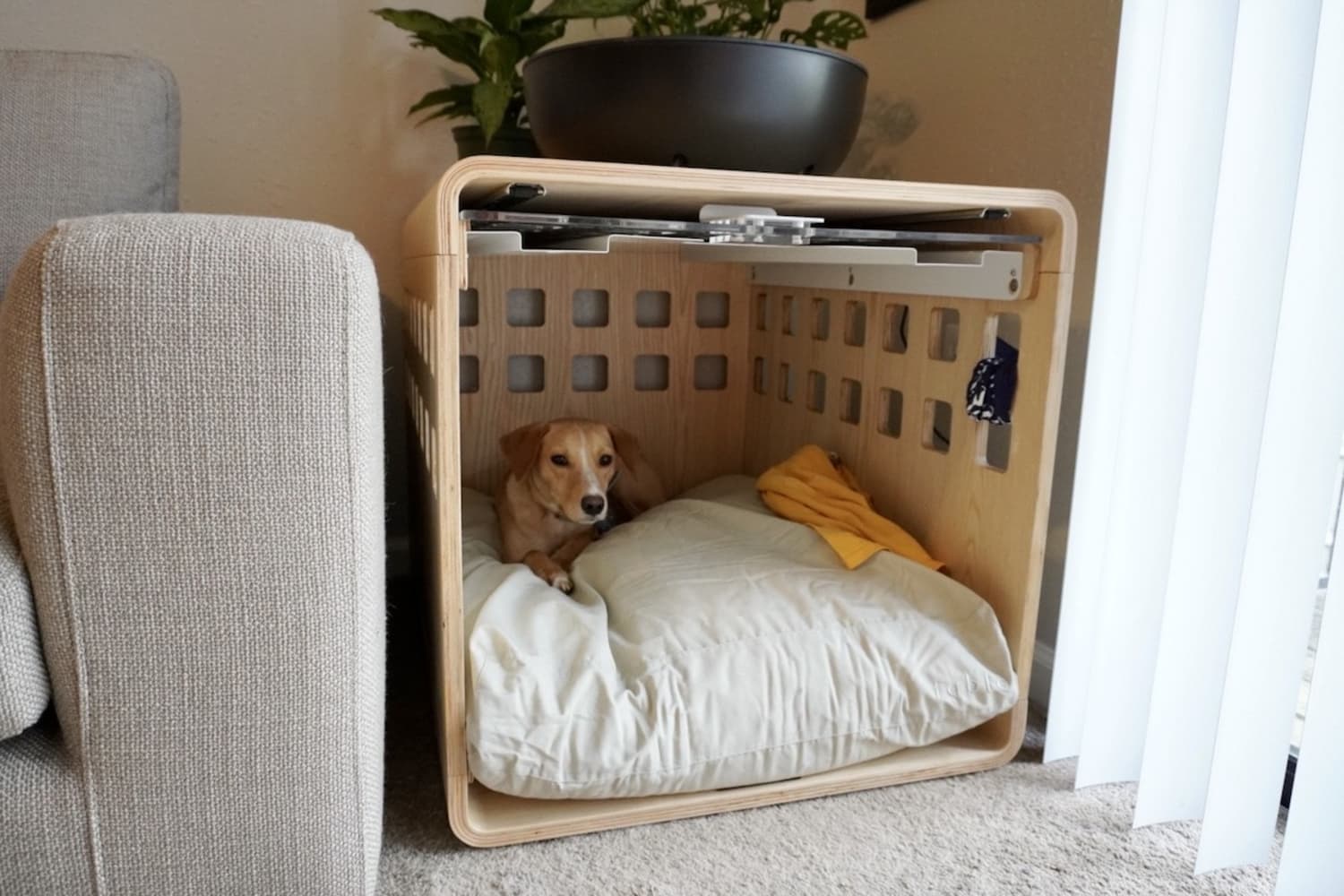 I Tried the Fable Pets Crate and It s a Dog Parent Upgrade for My