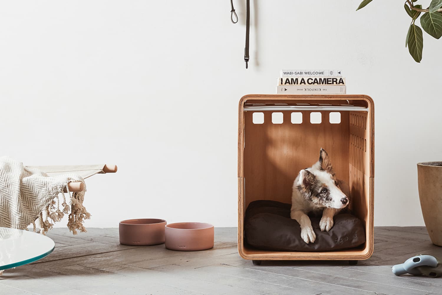 Bed bath and sale beyond dog crate