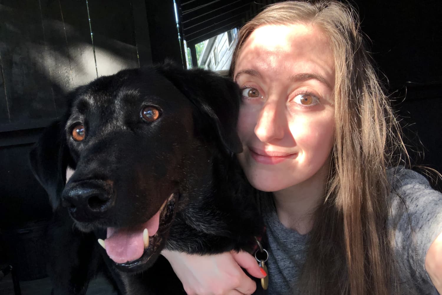 Amazon Pooch Selfie Dog Selfie Stick Test Apartment Therapy