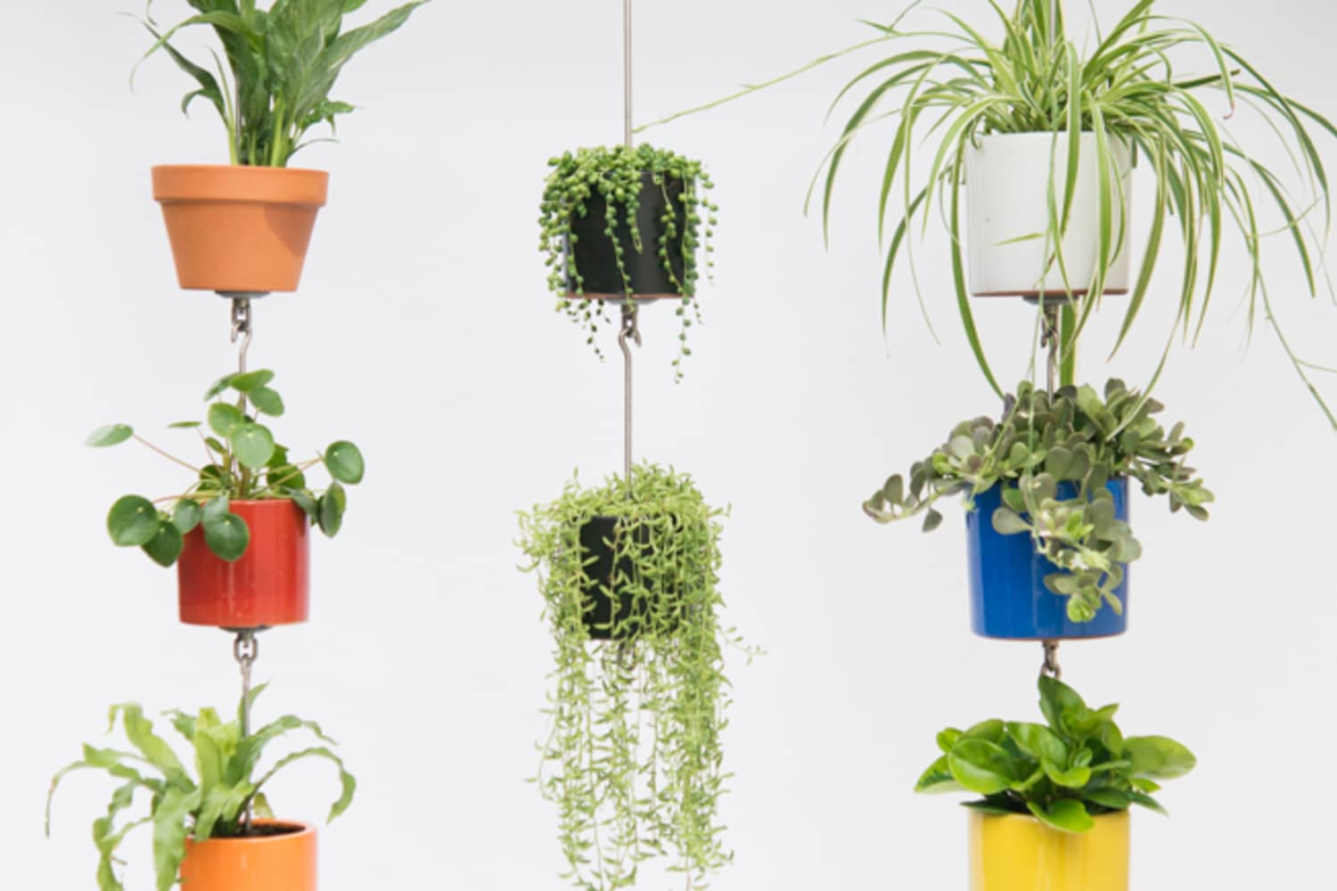 Houseplants Vertical Garden SkyPots Kickstarter Apartment Therapy