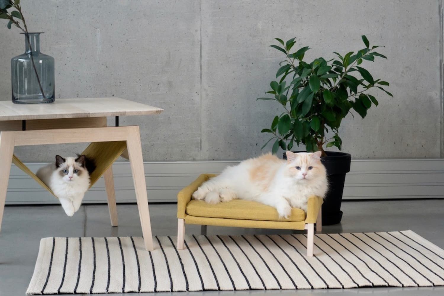 Cat hammock sale under table