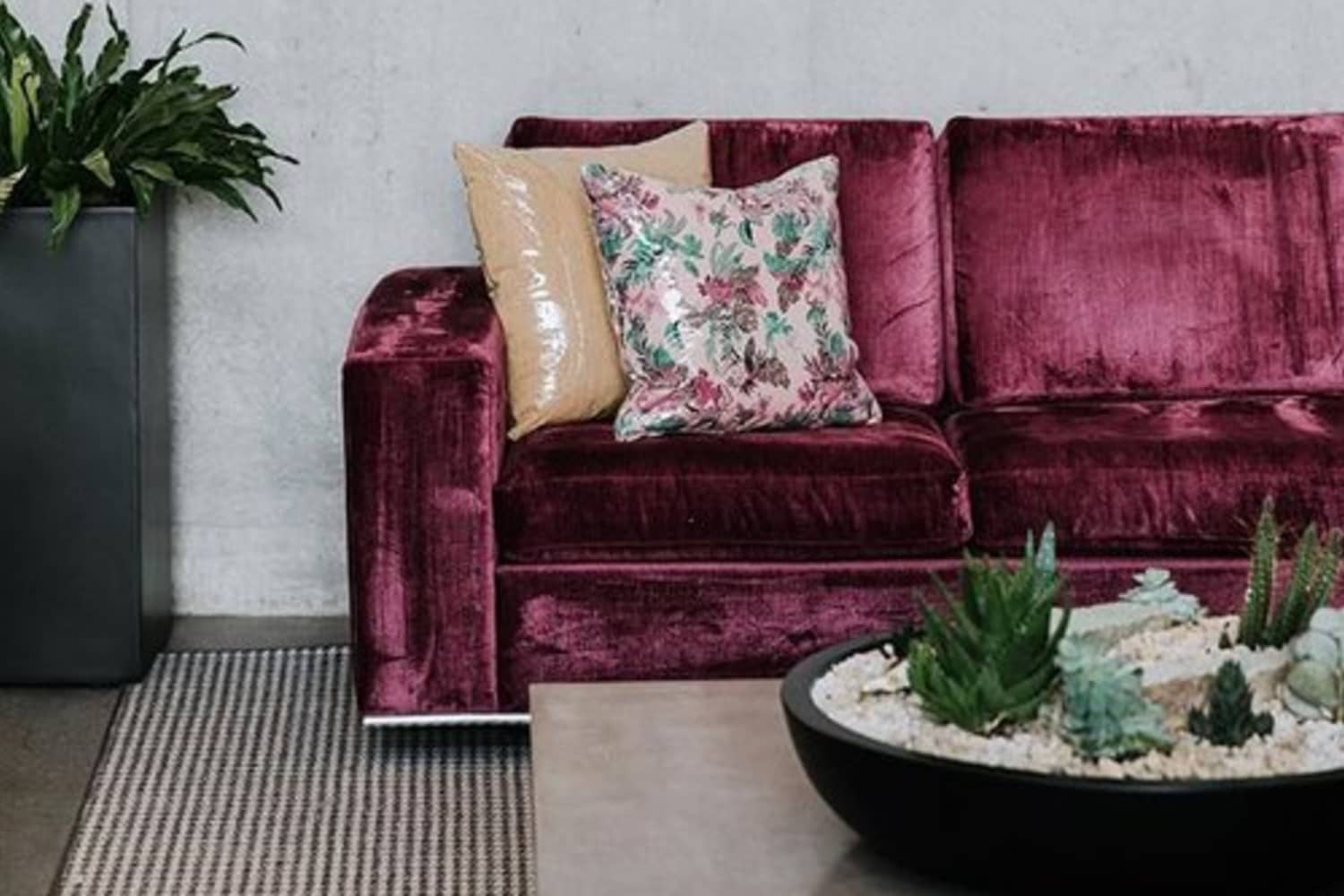 Plastic Covered Pillows Grandma Couch Apartment Therapy