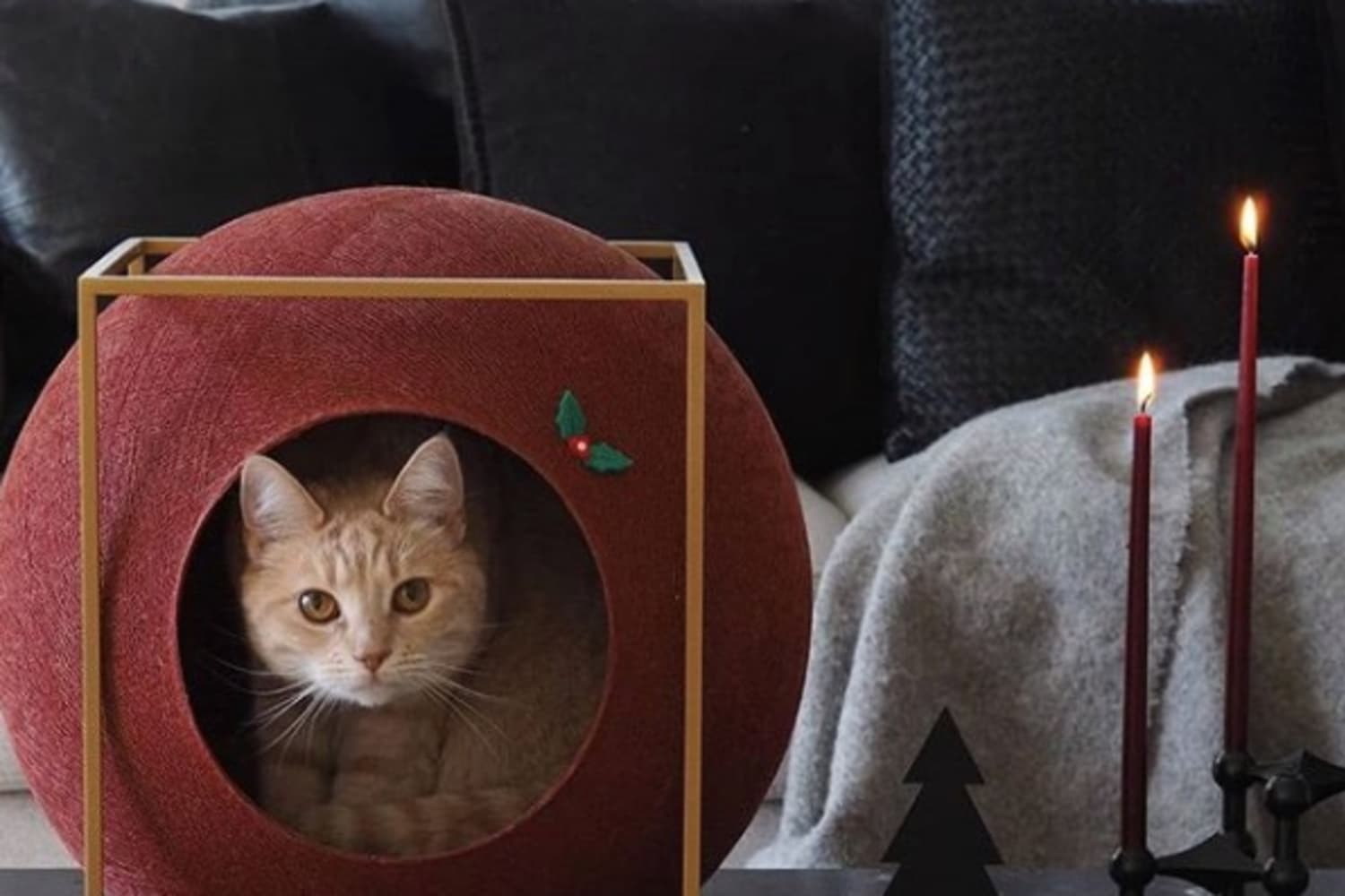 Meyou Paris Cat Colorful Cocoon Beds Apartment Therapy