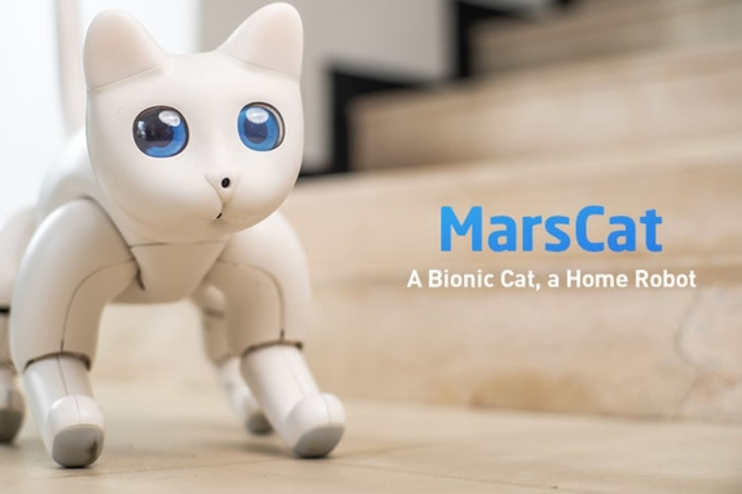 MarsCat Robotic Cat Kickstarter Apartment Therapy