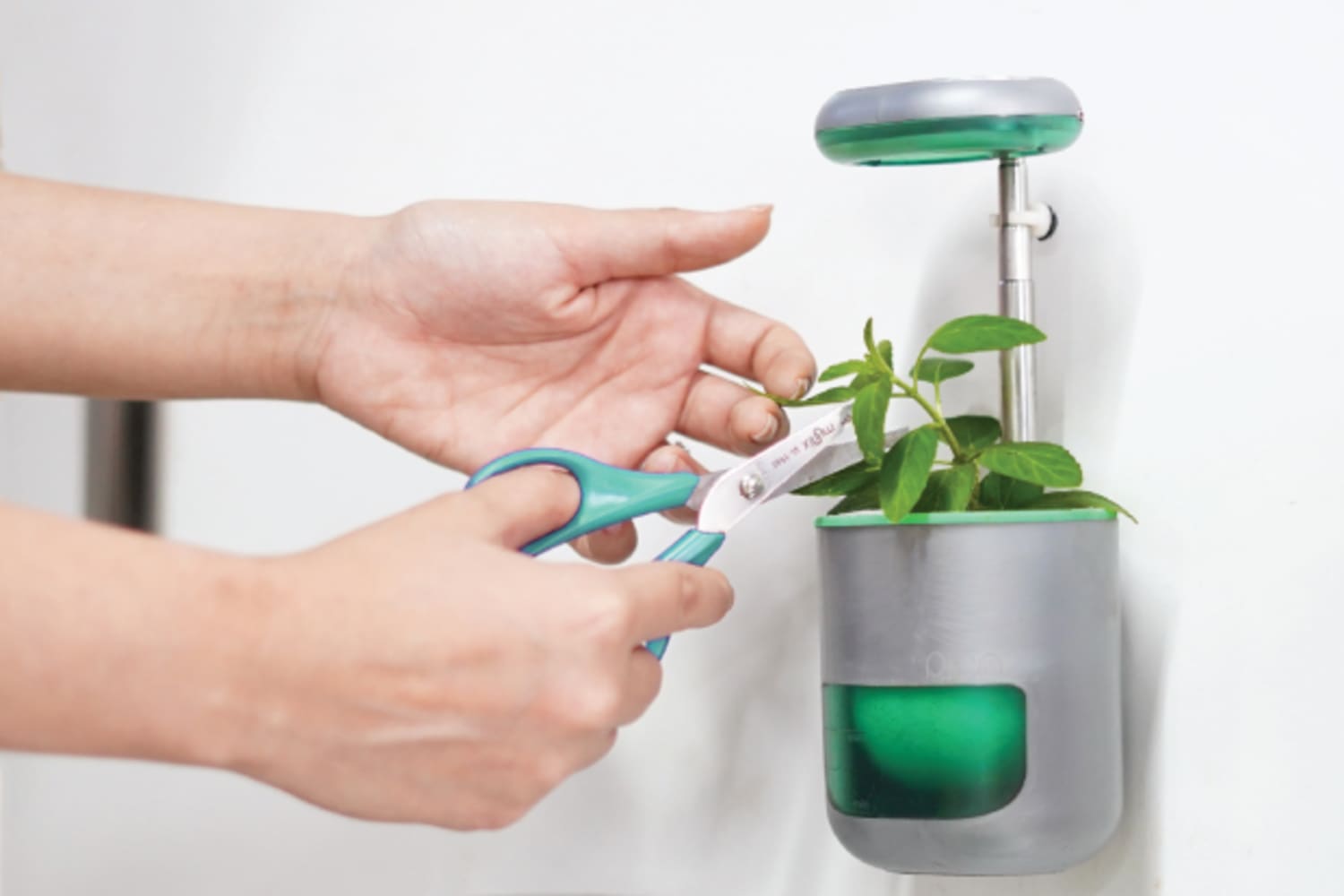 SelfWatering Plant Pots with LED Grow Lights Apartment Therapy