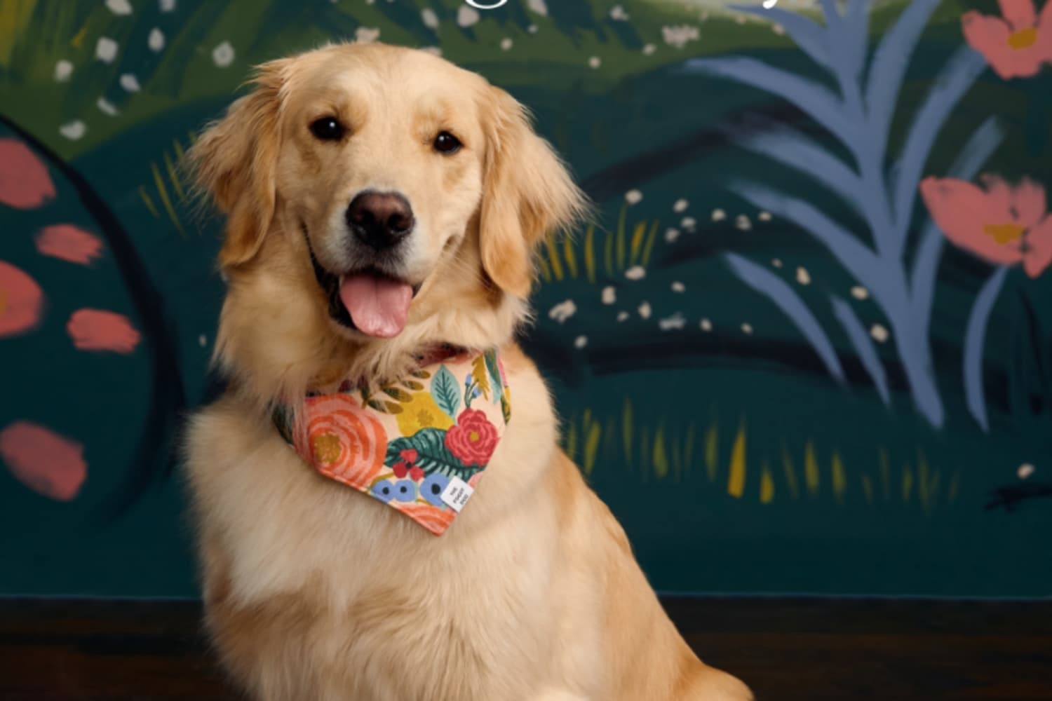 Rifle paper sale co bandana