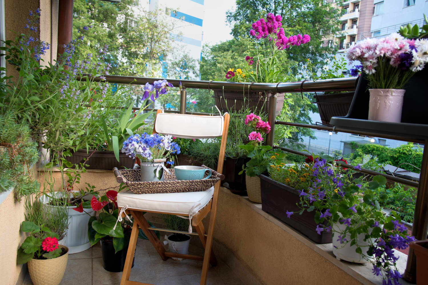 Small Gardens and Patios on a Budget Pinterest Apartment Therapy