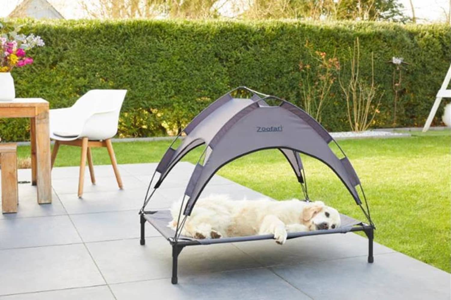 Lidl Is Selling a 20 Sun Bed So Your Pet Can Enjoy Summer Outside