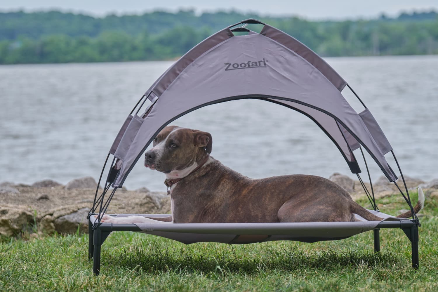 Zoofari dog bed with sun shade new arrivals