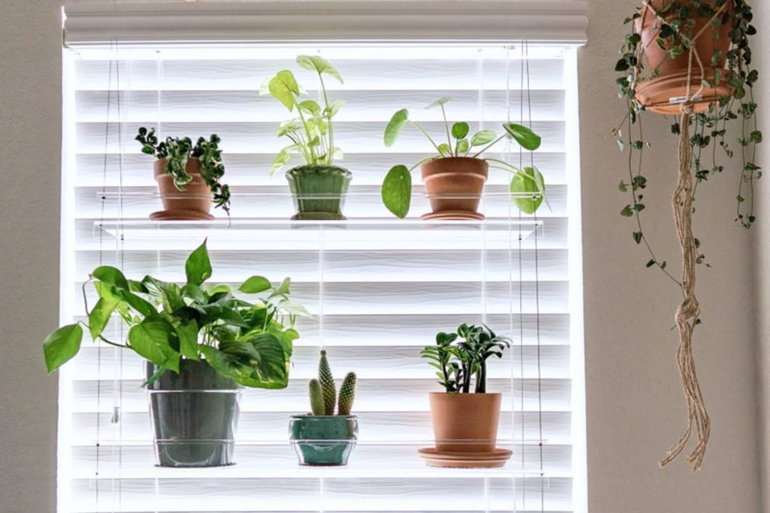 Window plant shelving top