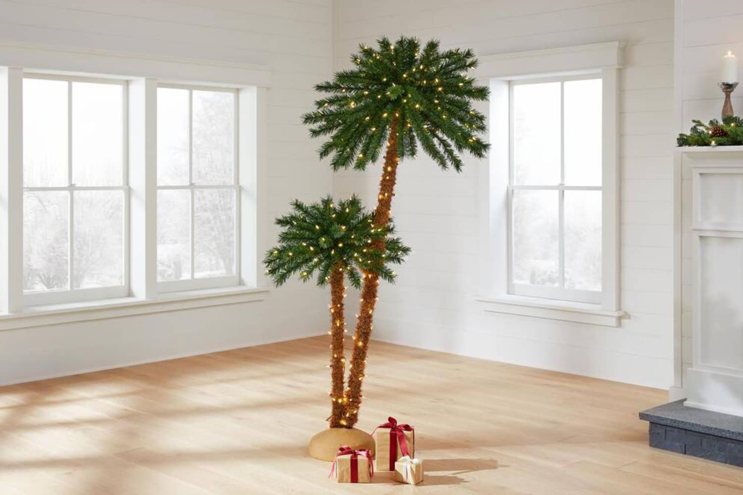Home Depot Christmas Palm Trees Apartment Therapy