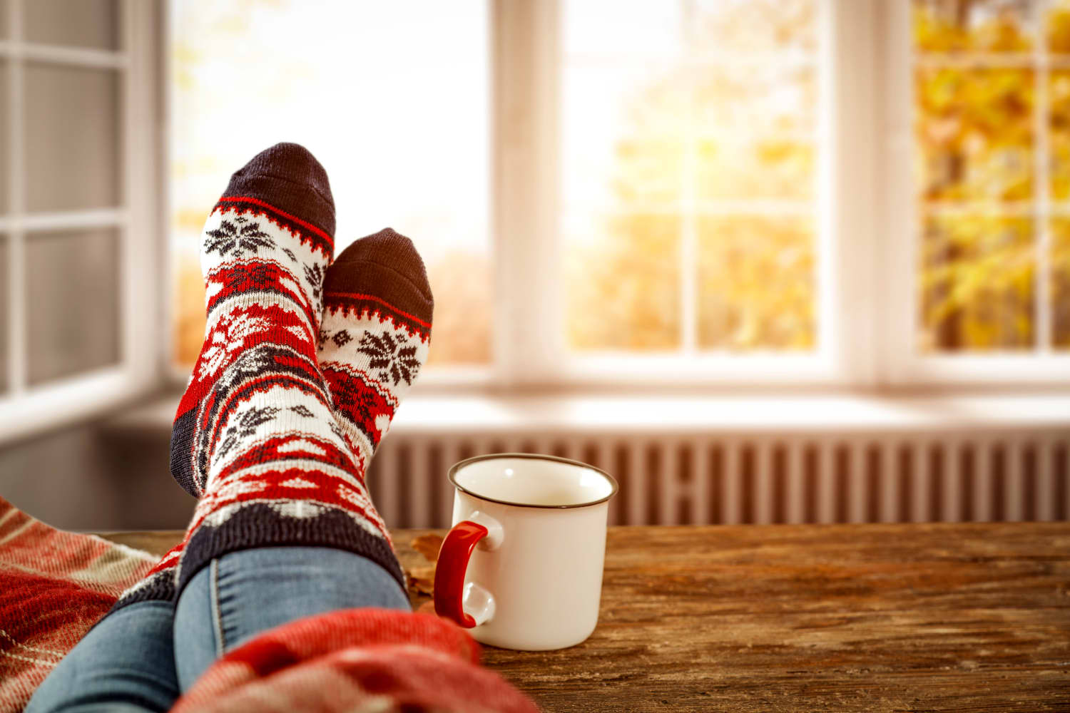 100 Things to Look Forward to This Fall and Winter | Apartment Therapy