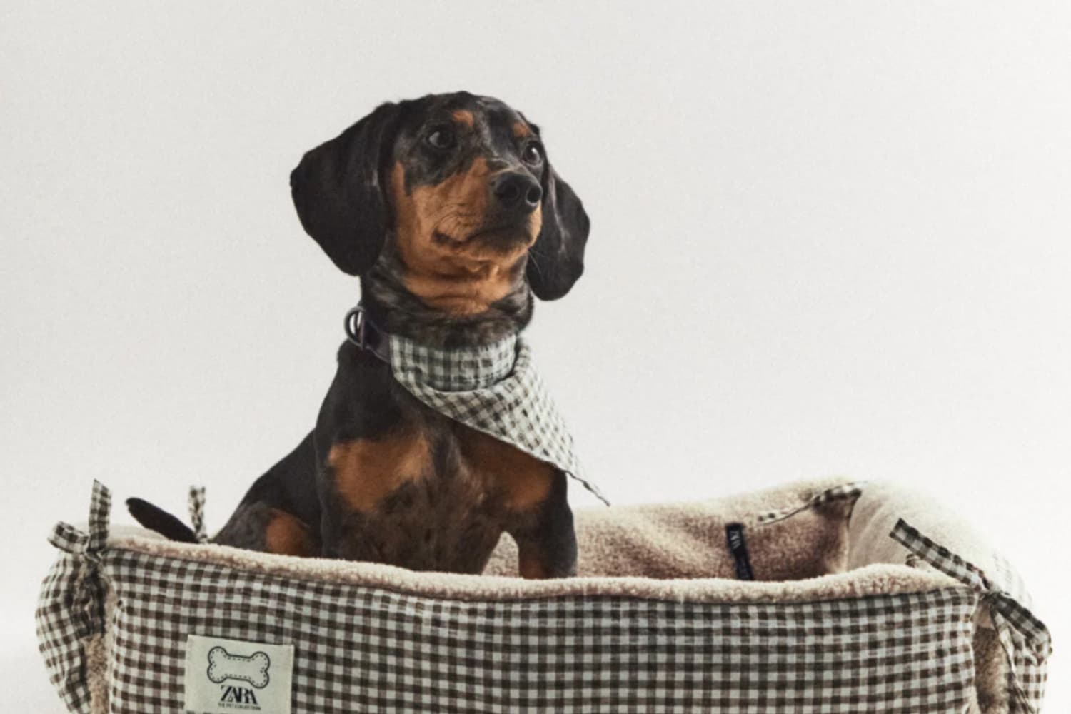 Zara Home Launches Pet Collection Here's Everything We Want To Buy The