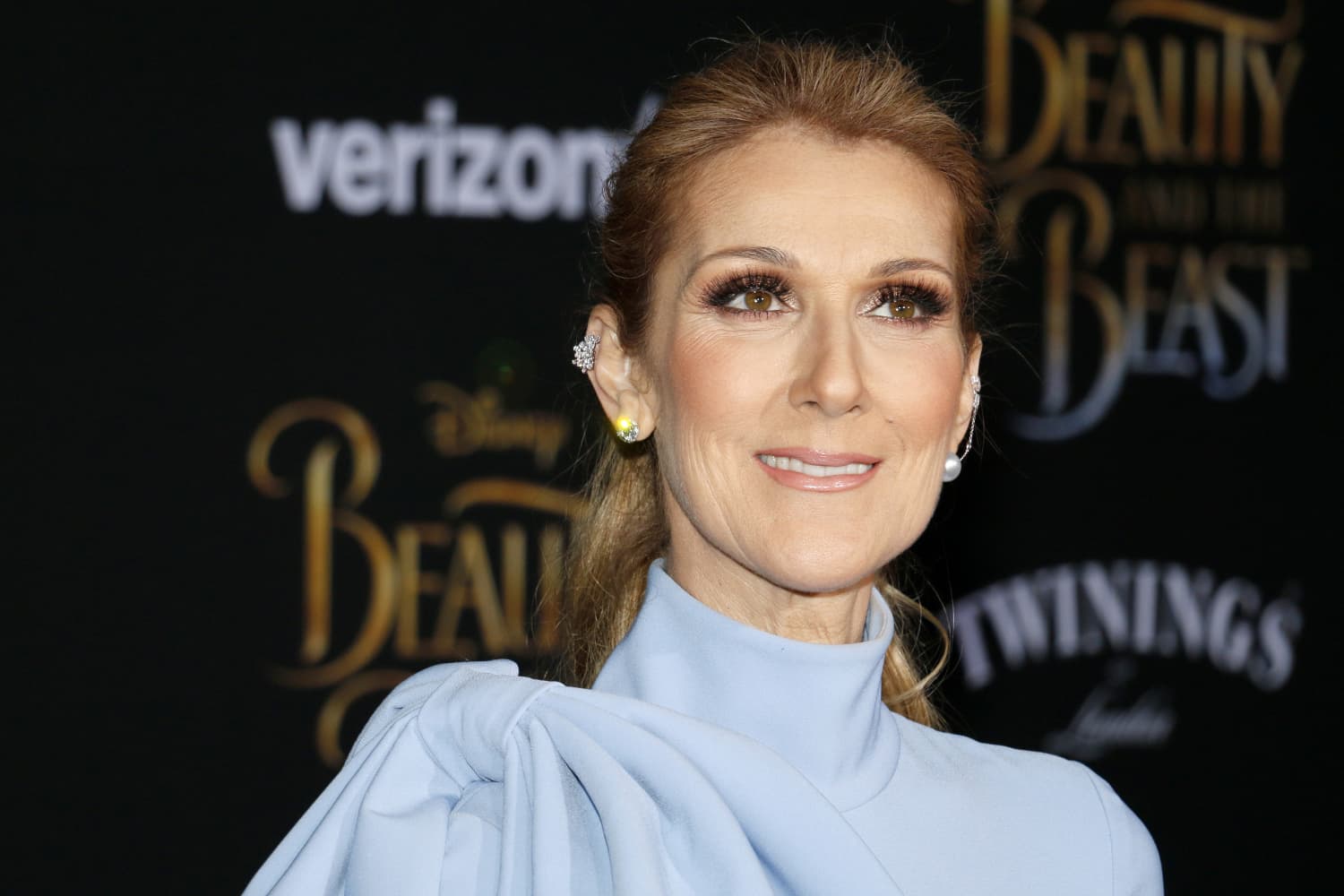 Céline Dion Has a Water Park and Other Wild Celebrity House Features ...
