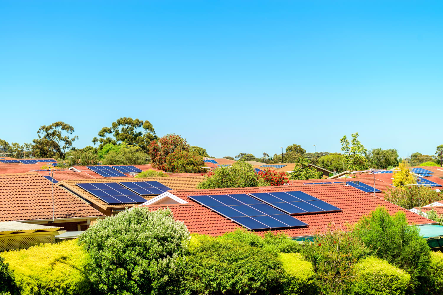 Here s How L A Homeowners Can Get Free Solar Panels Apartment Therapy