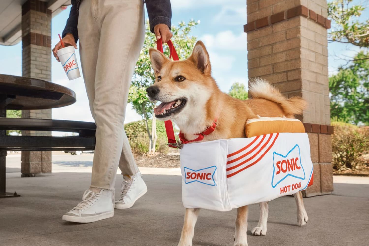 Yes, Sonic Sells Dog Halloween Costumes Now Apartment Therapy