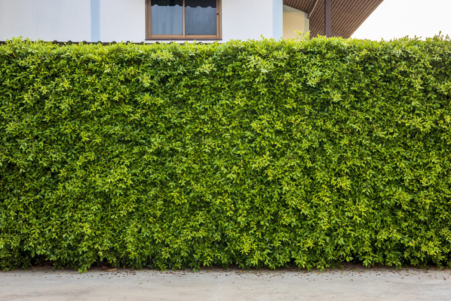 This German Company Installs Plant Walls That Reduce Noise Pollution